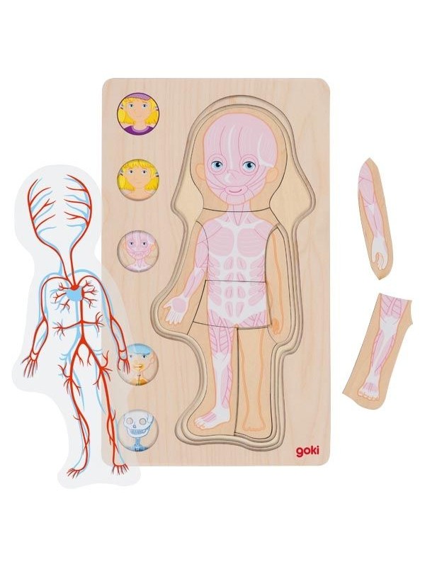 Puzzle warstwowe dziewczynka - ciało człowieka od wewnątrz
